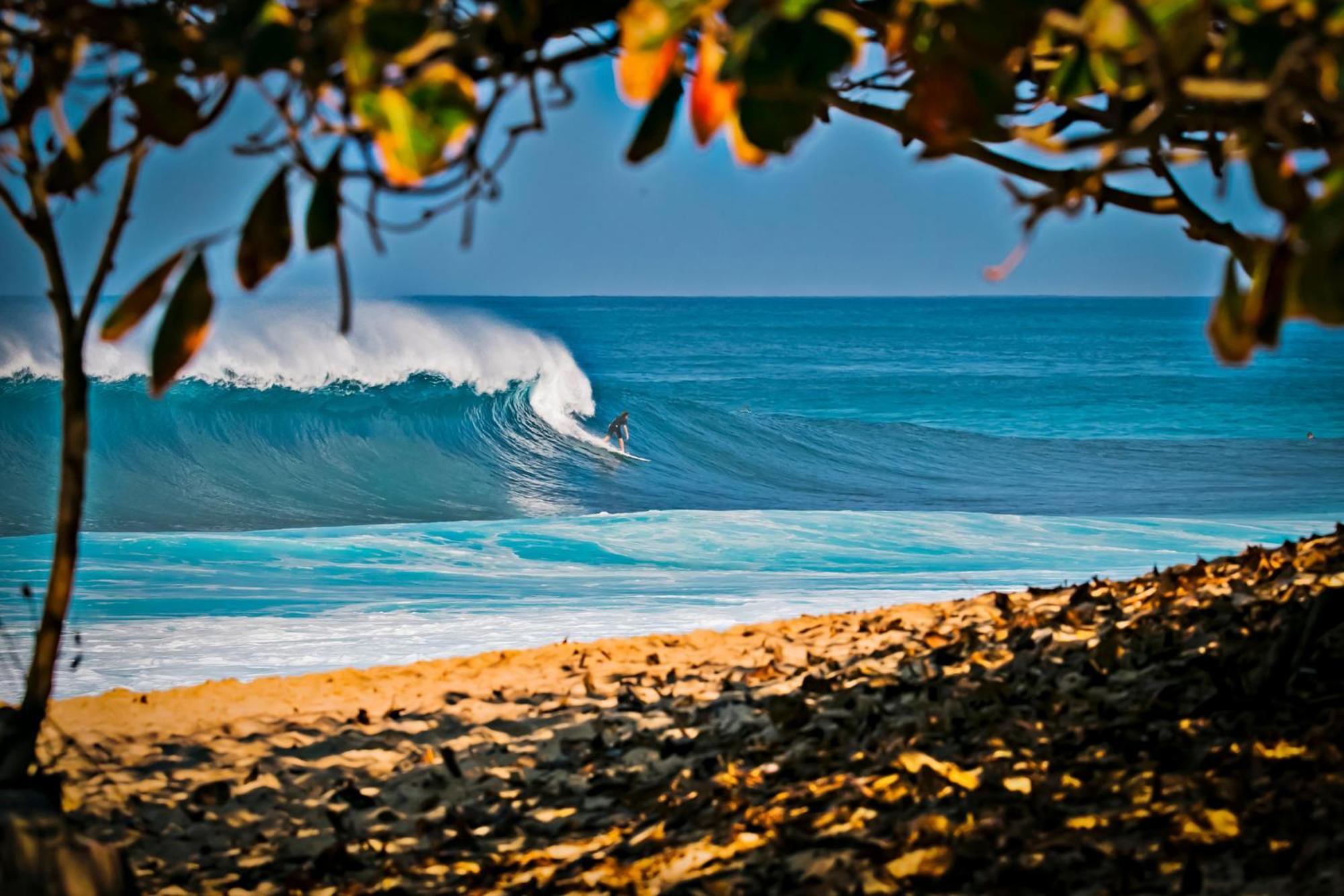 Aloha Vibes With Ocean Views, Near Beach & Parking! Honolulu Exterior foto